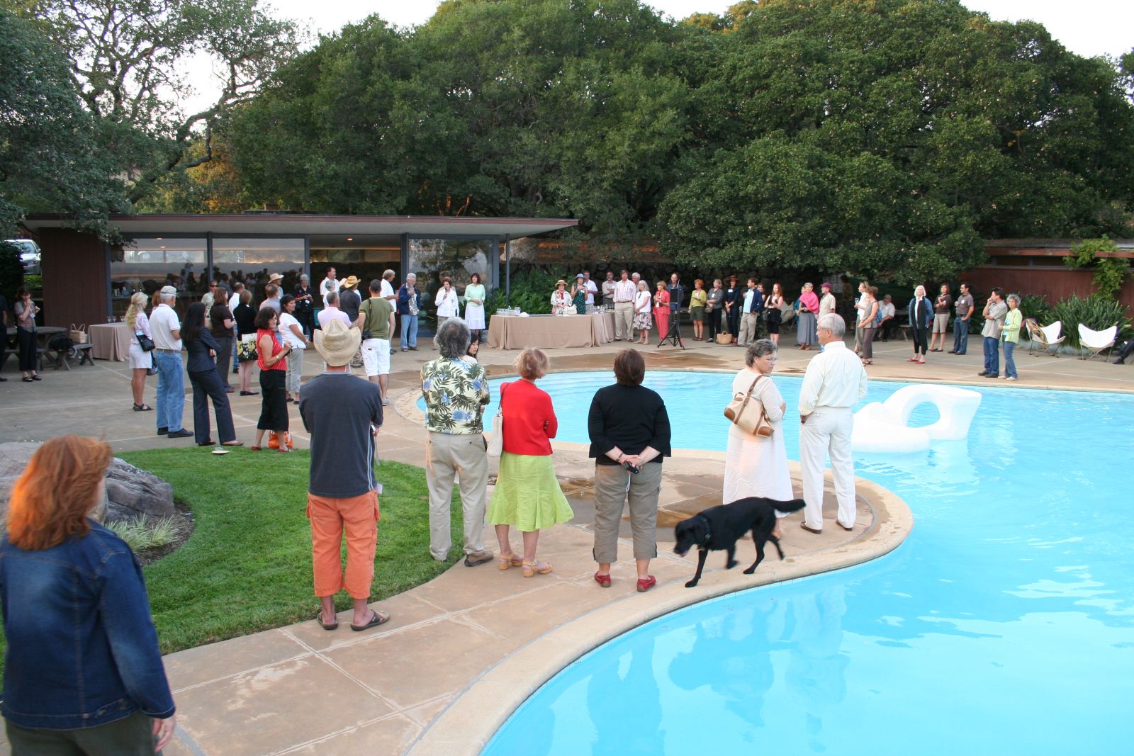 景觀設計 唐納花園 托馬斯·丘奇 加州花園