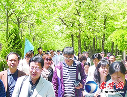 黃河三角洲濕地槐花節