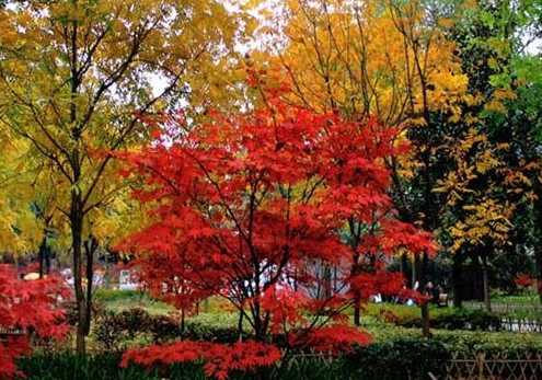 解放公園
