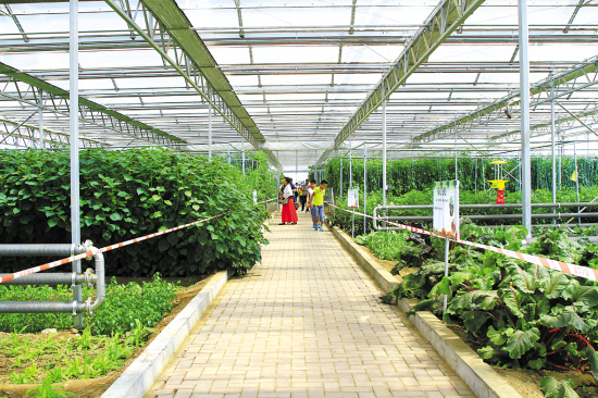 人居環境 環境改造