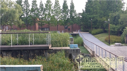 韓國(guó)仙游島公園