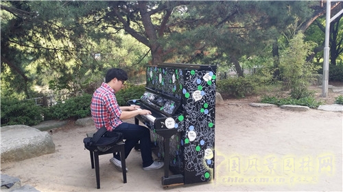 韓國(guó)仙游島公園