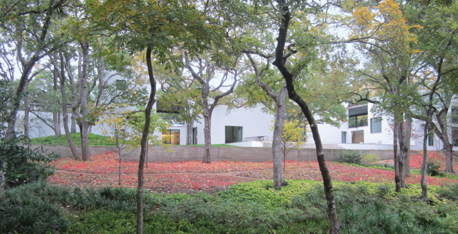 達拉斯莊園