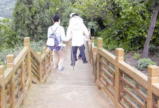 綠道效果圖