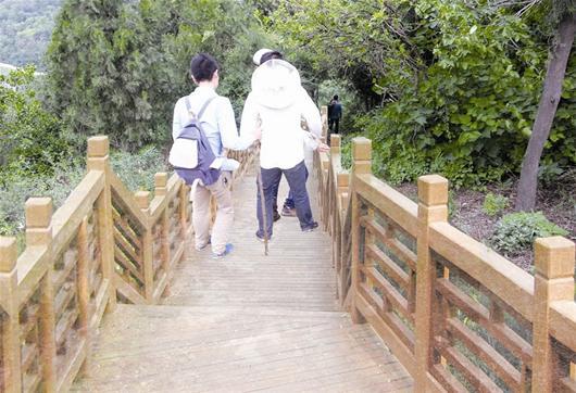 綠道效果圖