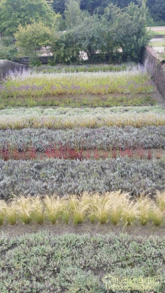 北杜伊斯堡景觀公園