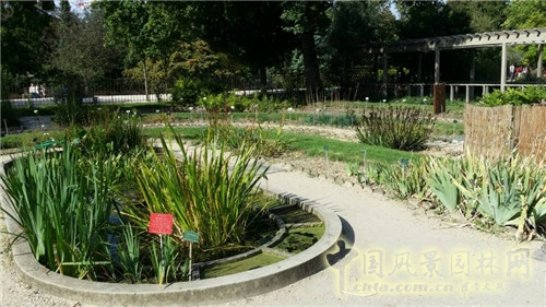 巴黎植物園