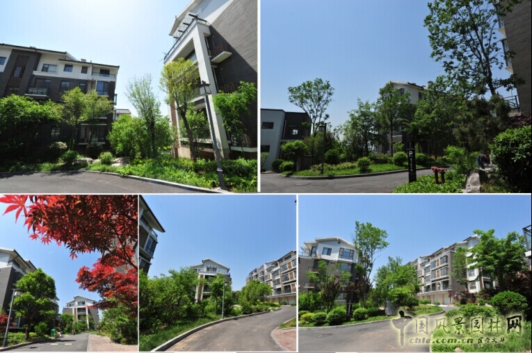 景觀設(shè)計(jì) 潤(rùn)和山居 施工圖設(shè)計(jì) 景觀方案