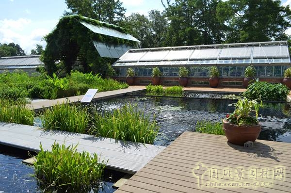美國(guó)德克薩斯州橘子郡的香格里拉植物園
