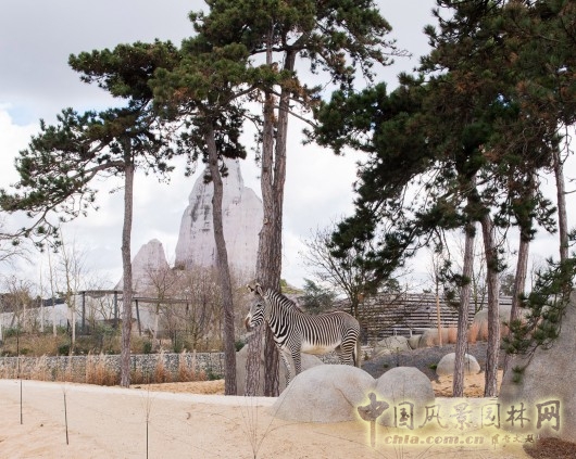 文森動(dòng)物園