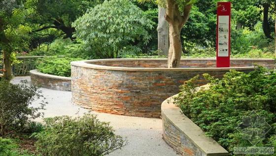 英國(guó)國(guó)家景觀獎(jiǎng) 王向榮 槭樹(shù)杜鵑園 杭州植物園