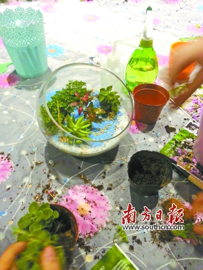 微景觀制作過程中