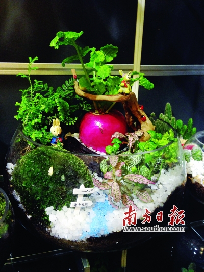 理想生活。阿標 作