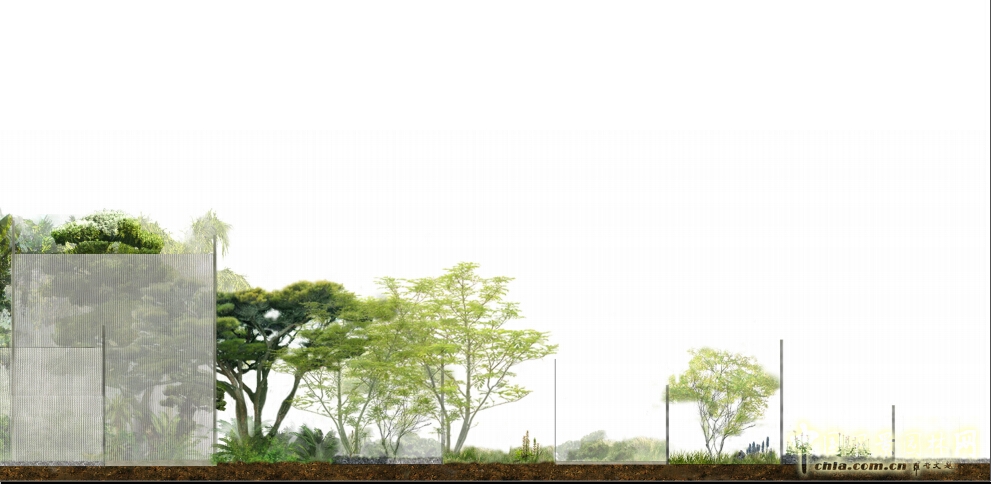武漢園博會(huì)創(chuàng)意花園薄紗森林
