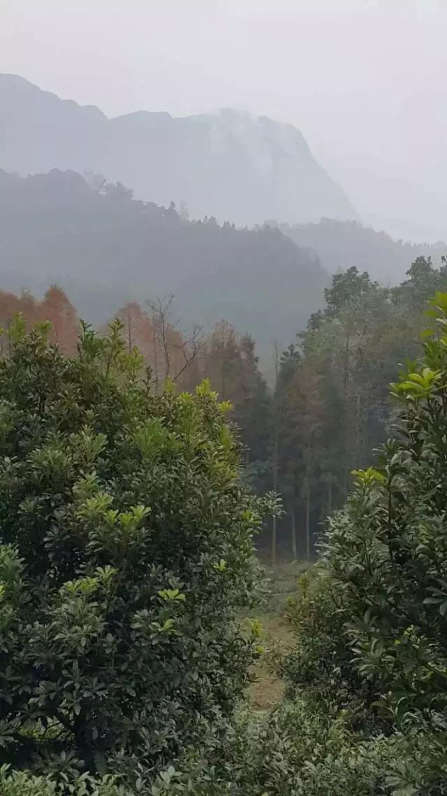 探討：風(fēng)景園林的內(nèi)涵與外延