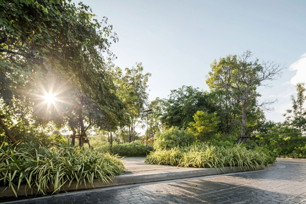 泰國(guó)：Ming Mongkol綠色公園