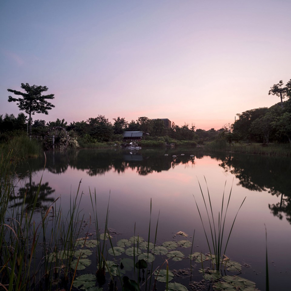 泰國(guó)：Ming Mongkol綠色公園