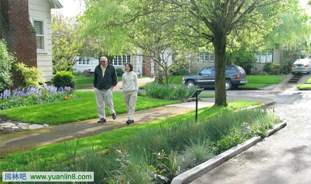 羅青:經典美國城市環境中的雨水管理設計