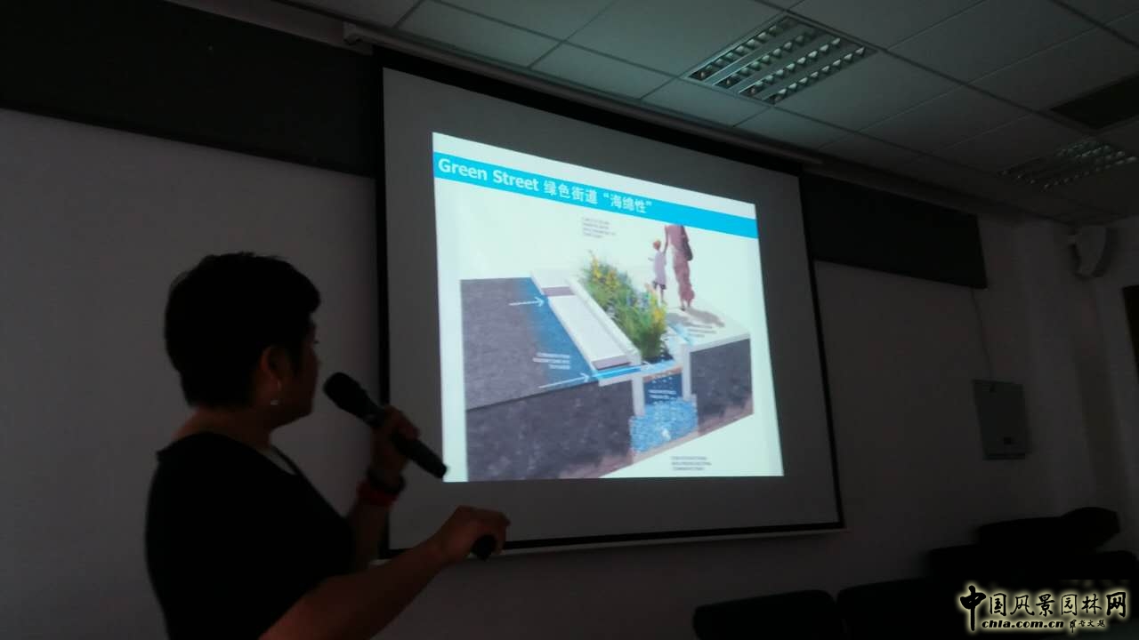 羅青:經典美國城市環境中的雨水管理設計