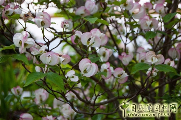 倫敦Crossrail車站屋頂花園景觀設(shè)計(jì)