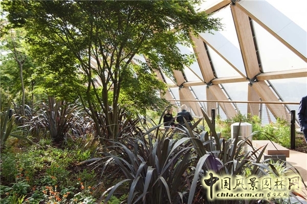 倫敦Crossrail車站屋頂花園景觀設(shè)計(jì)