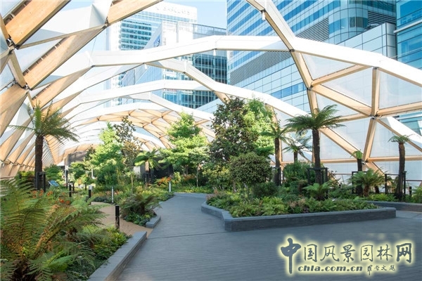 倫敦Crossrail車站屋頂花園景觀設計