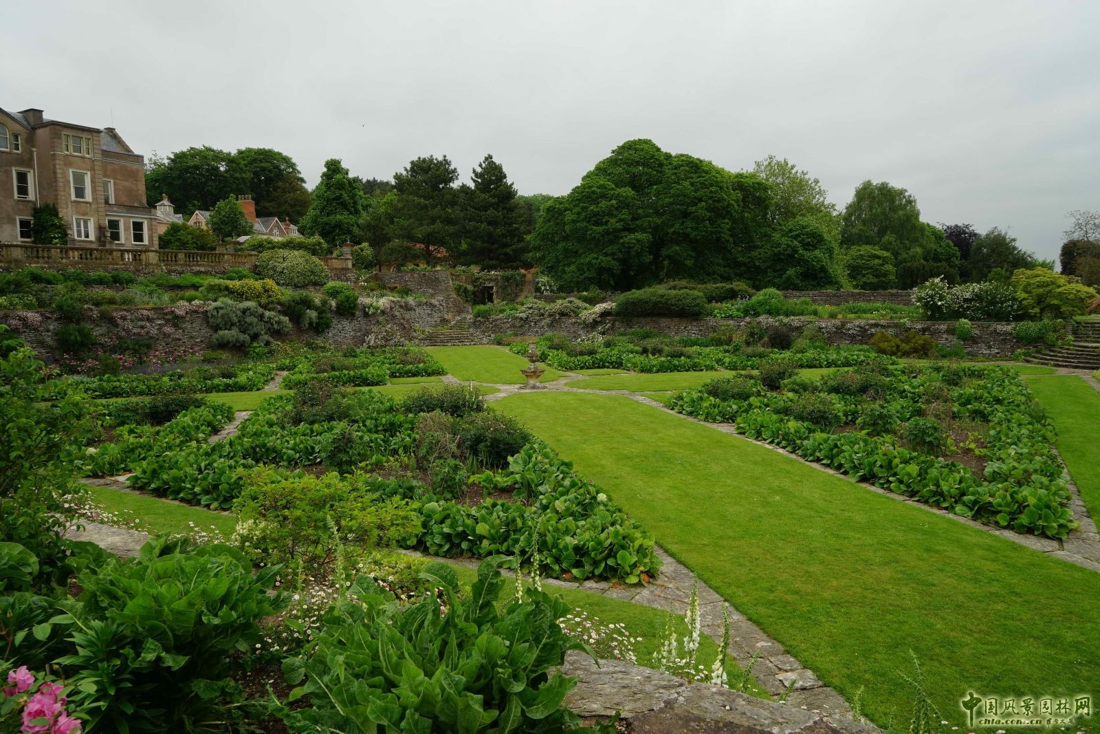 俯拾皆是“杰基爾Style”——英國赫斯特庫姆花園
