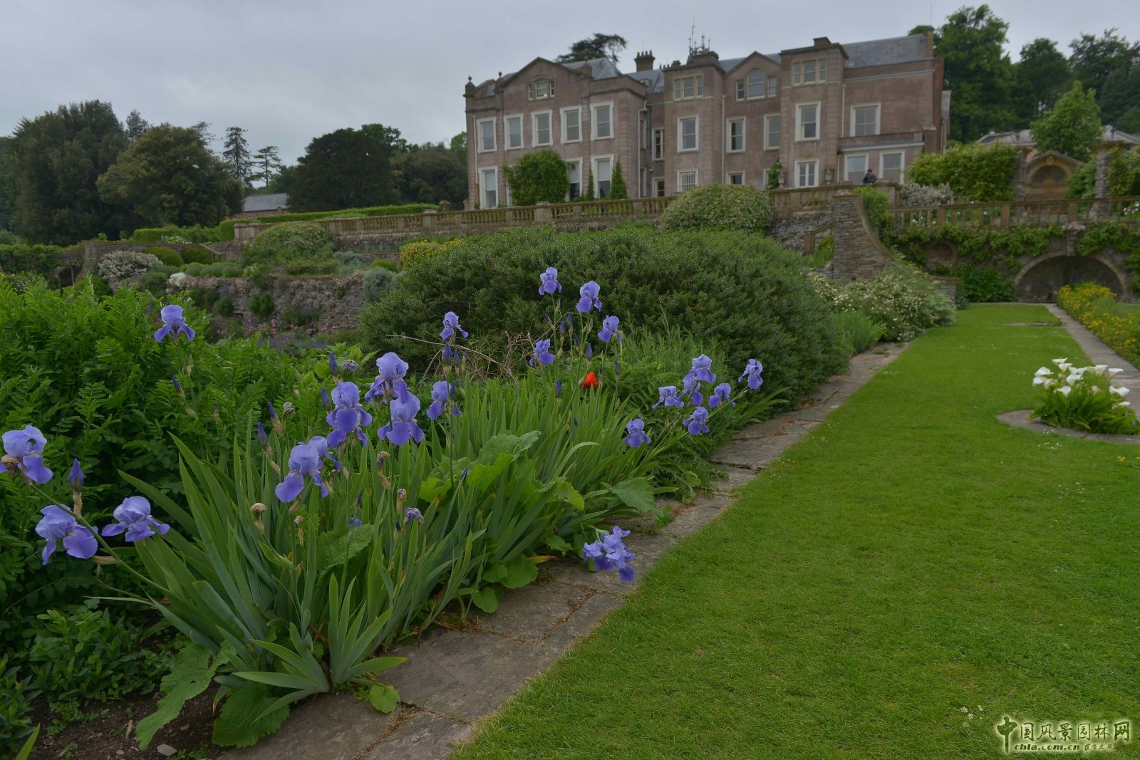 俯拾皆是“杰基爾Style”——英國赫斯特庫姆花園