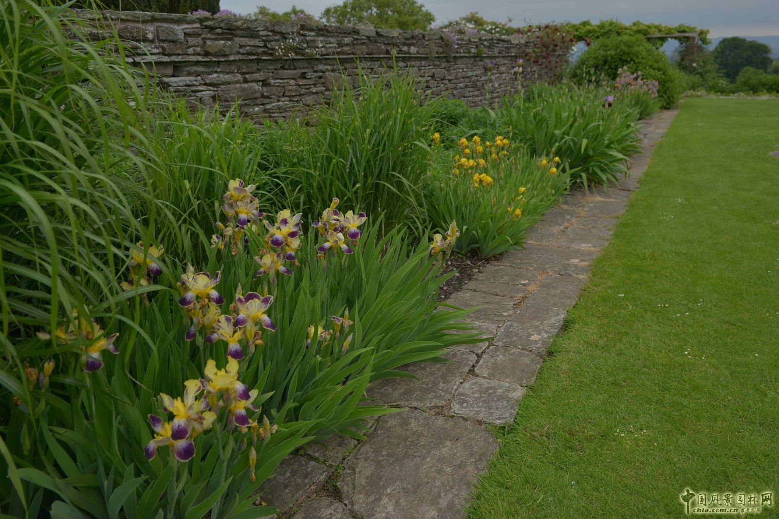 俯拾皆是“杰基爾Style”——英國赫斯特庫姆花園