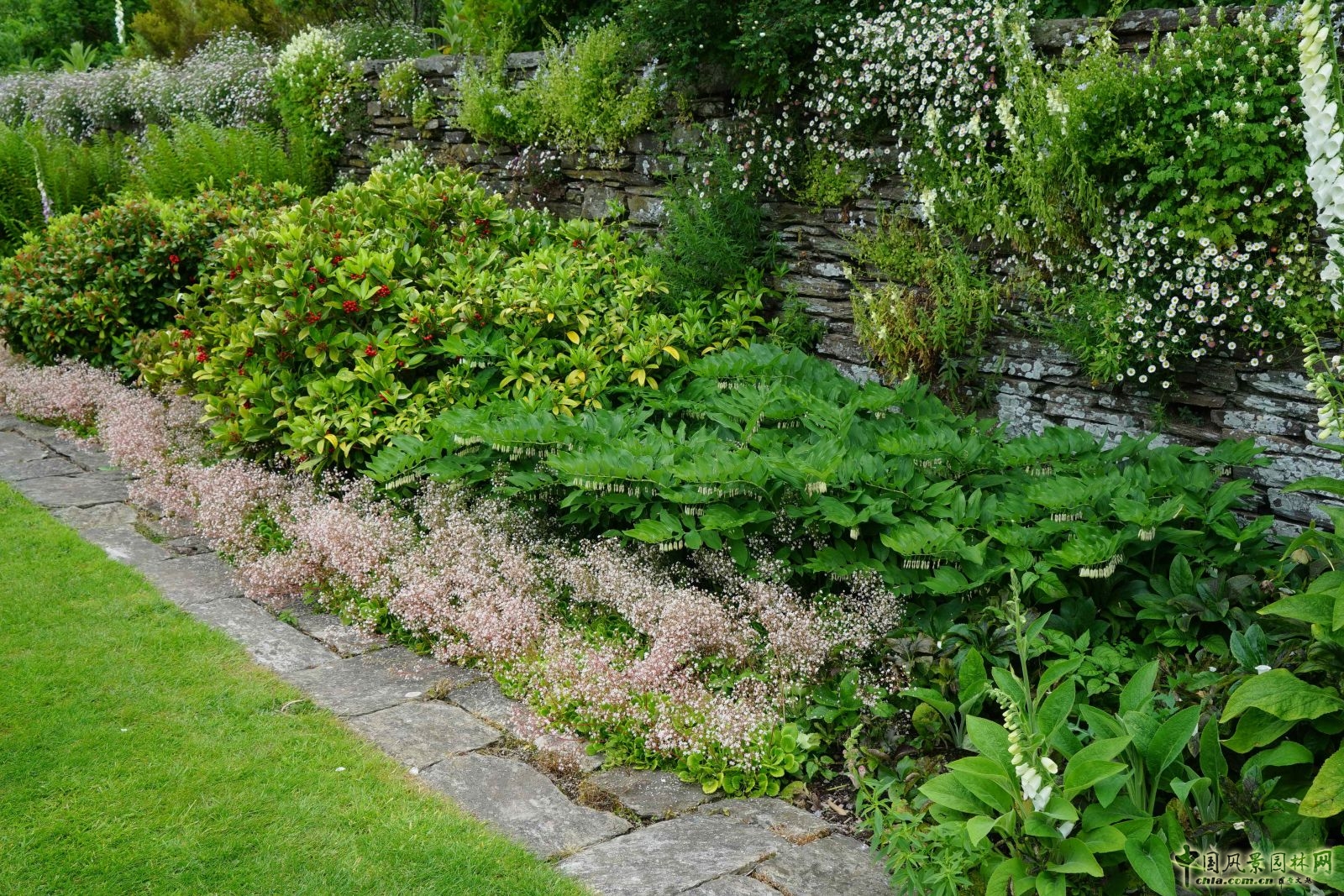 俯拾皆是“杰基爾Style”——英國赫斯特庫姆花園