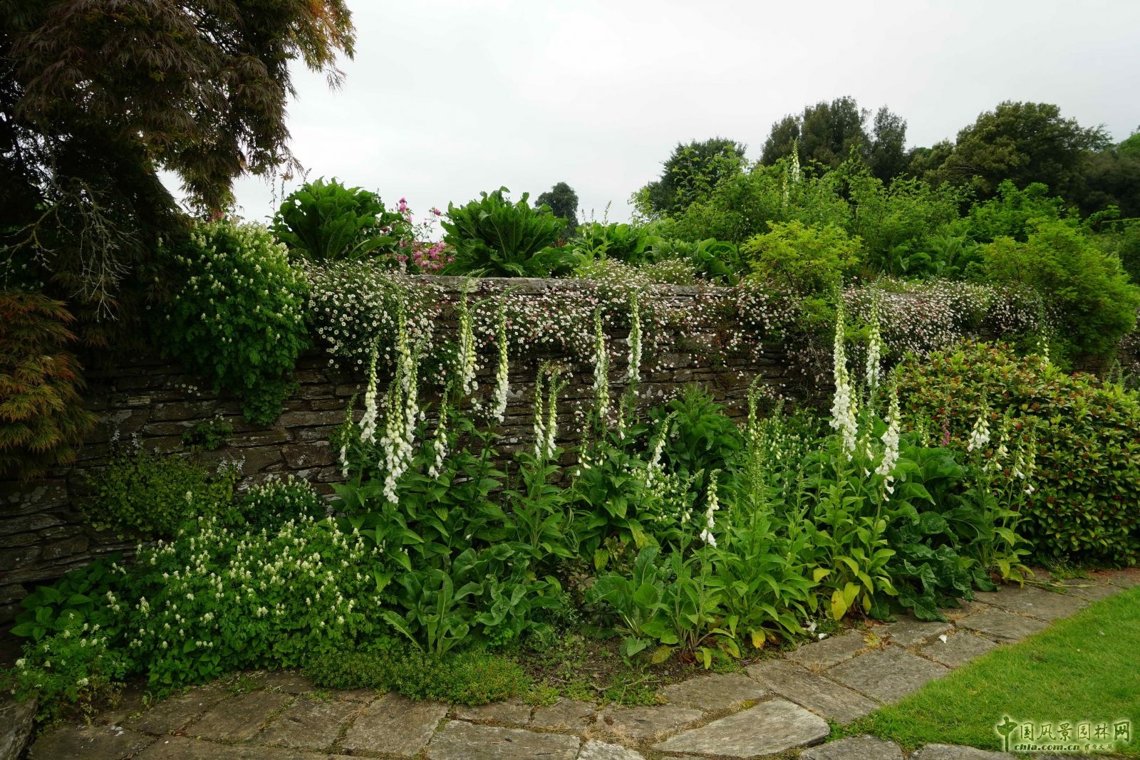 俯拾皆是“杰基爾Style”——英國赫斯特庫姆花園