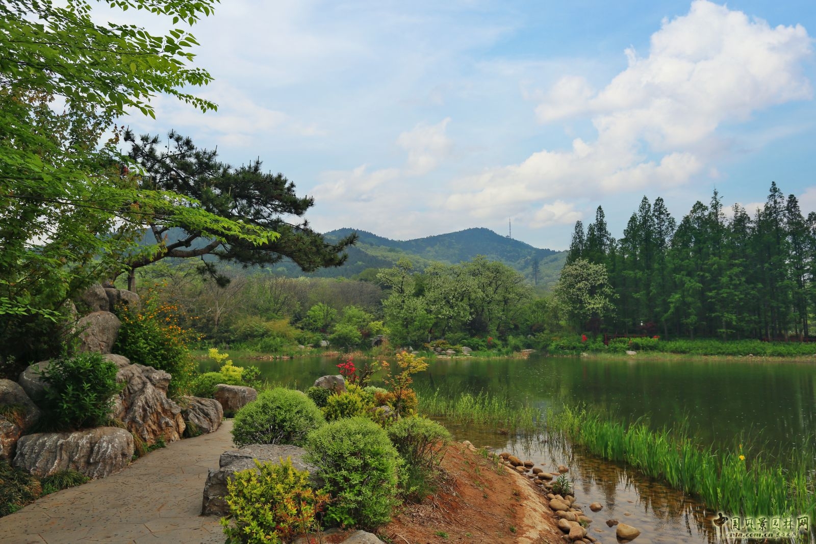 杭州園林榮獲2014、2015年度江蘇省優(yōu)質(zhì)工程獎“揚子杯”