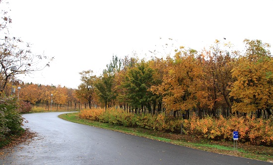 奧林匹克森林公園四標(biāo)段景觀設(shè)計(jì)