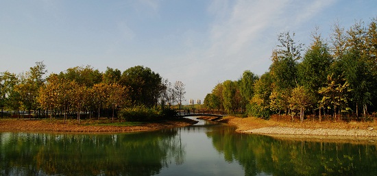 奧林匹克森林公園四標段景觀設(shè)計