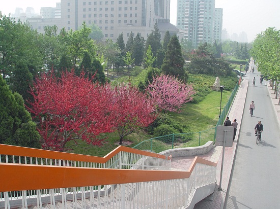 北京市重點(diǎn)城市道路規(guī)劃設(shè)計(jì)