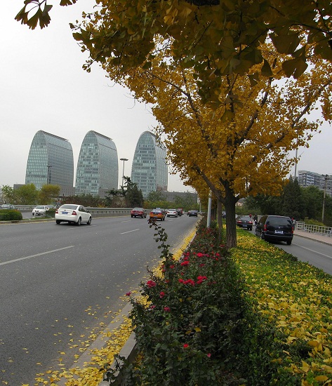 北京市重點(diǎn)城市道路規(guī)劃設(shè)計(jì)