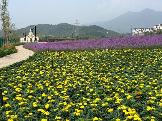 北京·懷柔燕城小鎮(zhèn)規(guī)劃項(xiàng)目賞析