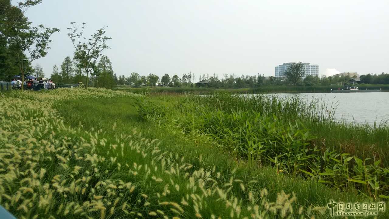系列報(bào)道4：南林風(fēng)景園林學(xué)院走進(jìn)上海園林集團(tuán)