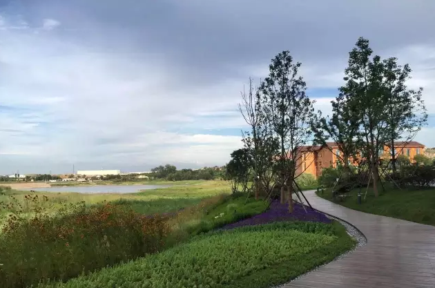 青島中德生態(tài)園德國(guó)企業(yè)中心景觀設(shè)計(jì)