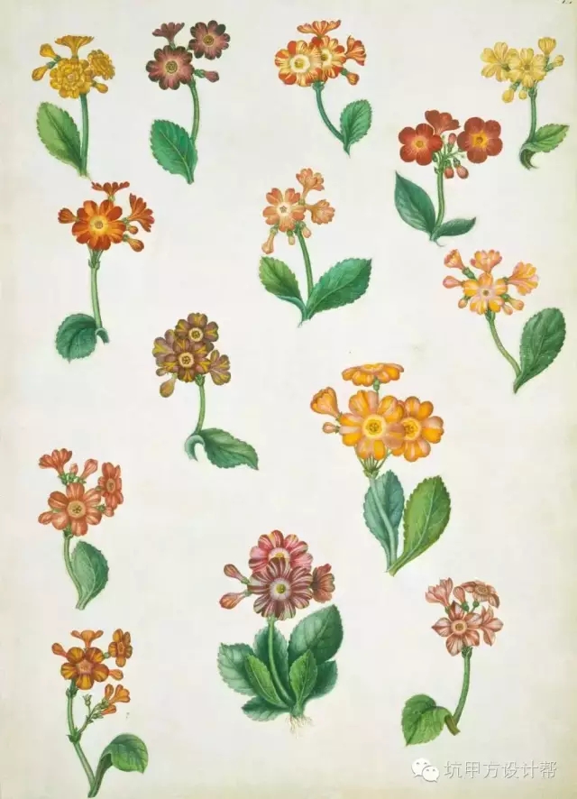 離不開花園的英國人