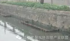 有圖有真相 水環(huán)境生態(tài)修復技術(shù)方案