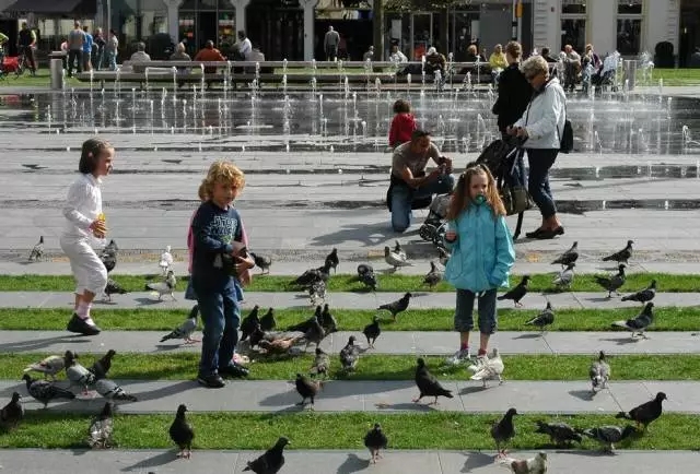 可蓄水廣場——讓城市看海變成看風景
