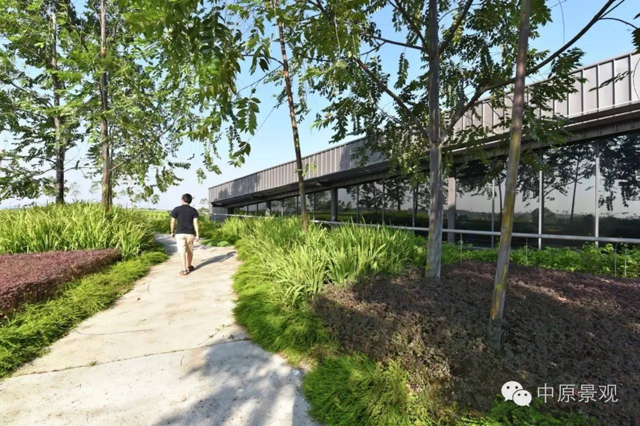 馬來西亞加里斯建筑師的弧形景觀設(shè)計(jì)