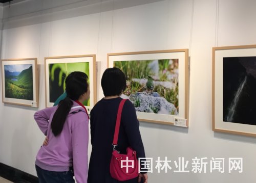 云南怒江生物多樣性攝影展開(kāi)展