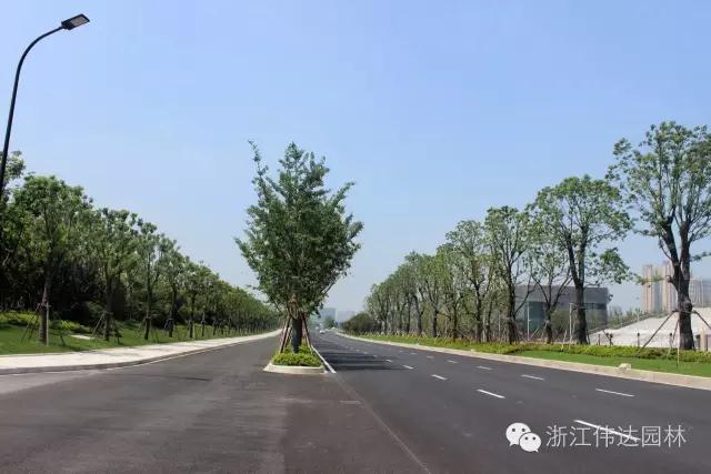 偉達(dá)園林獲G20杭州峰會(huì)服務(wù)保障突出貢獻(xiàn)獎(jiǎng)