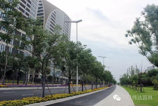 偉達(dá)園林獲G20杭州峰會(huì)服務(wù)保障突出貢獻(xiàn)獎(jiǎng)