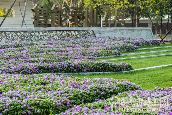 2016園冶杯專業獎參賽項目:天津魯能泰山七號院