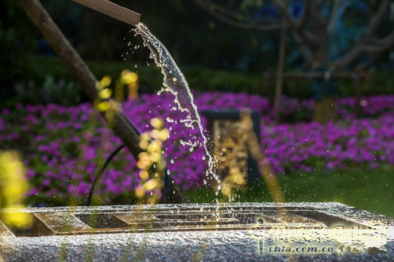 2016園冶杯專業獎參賽項目:天津魯能泰山七號院