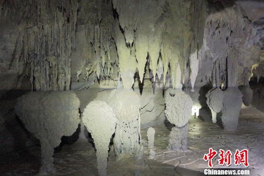 陜西發現天坑群地質遺跡