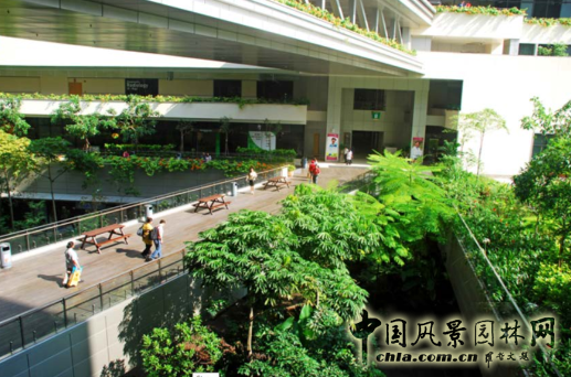 【園冶講壇】王才強(qiáng):城市中的藍(lán)與綠